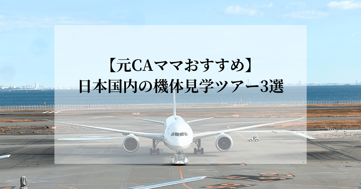機体見学ツアー